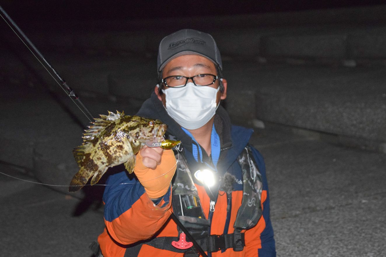 愛知県三河湾でロックフィッシュを釣り上げる