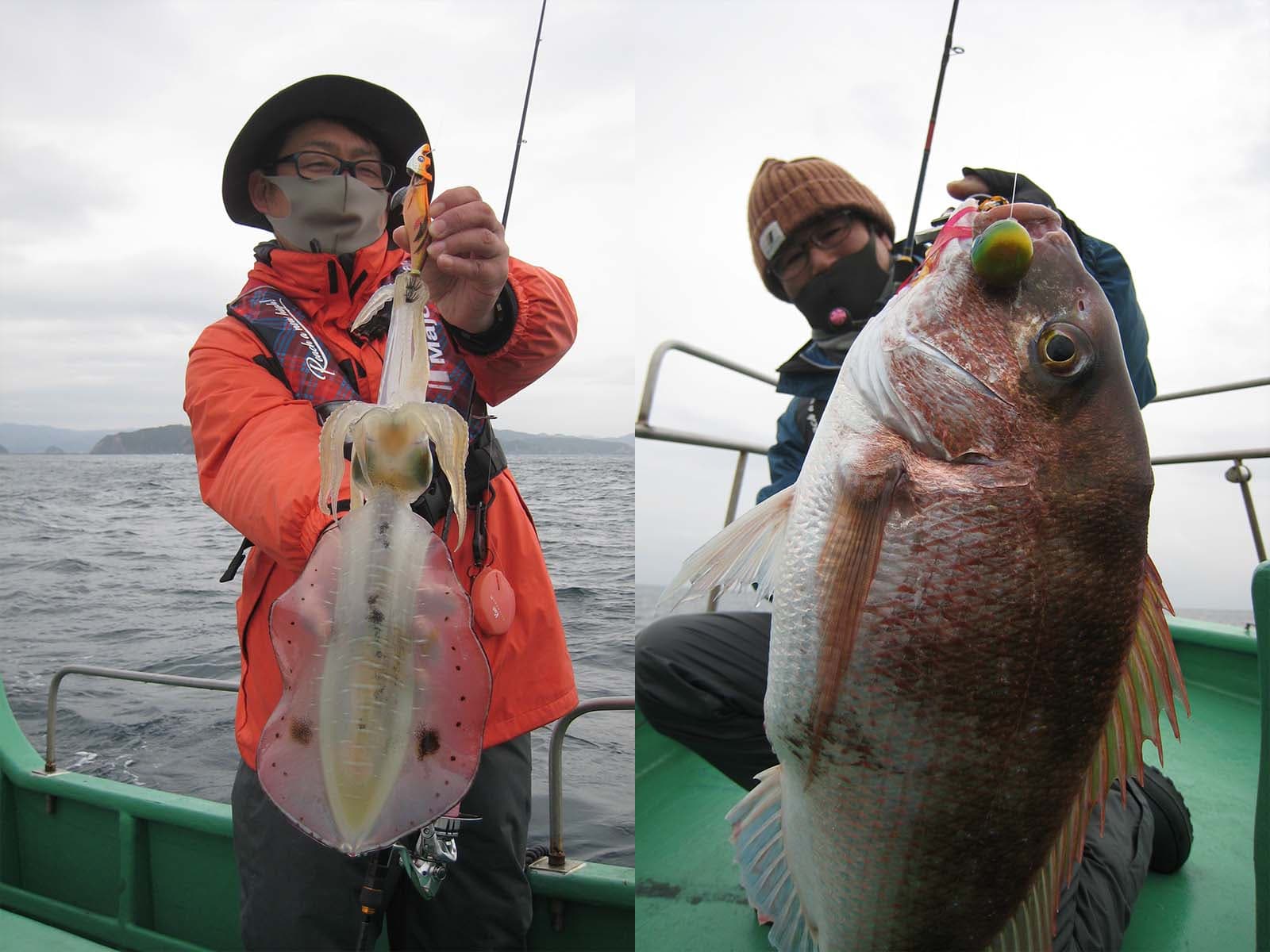 三重県五ヶ所湾沖でマダイ&アオリイカ釣り