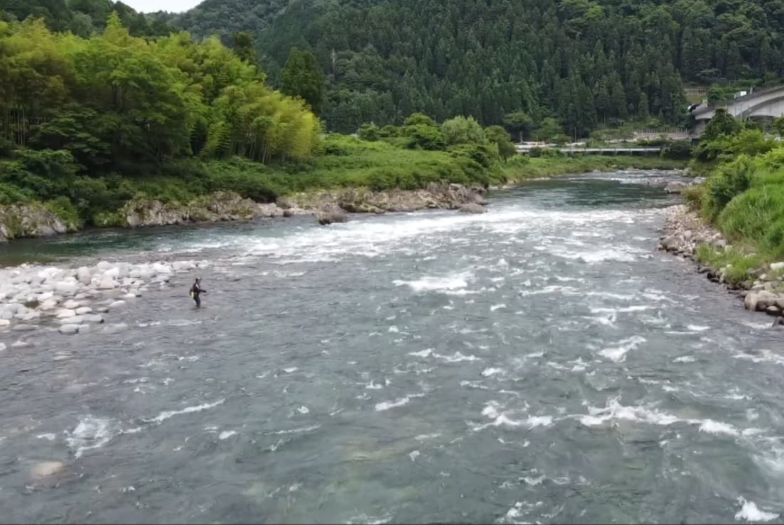 川の水量が減り、更なる大鮎を狙う