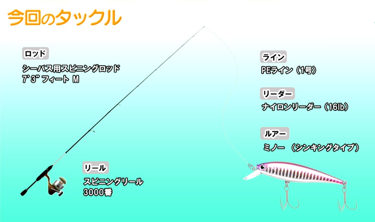 今回のタックル