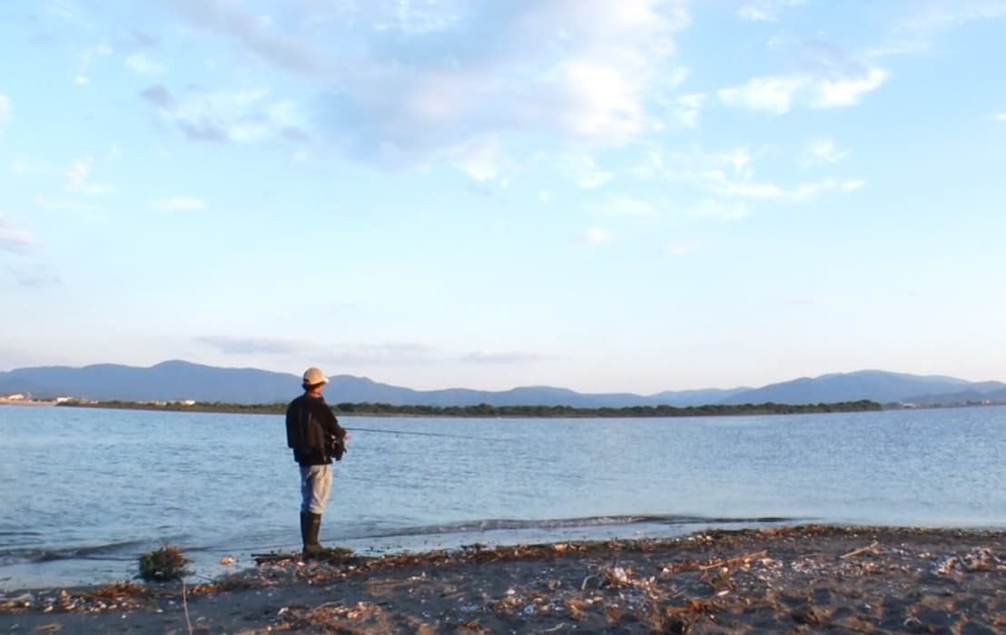 濁っている海