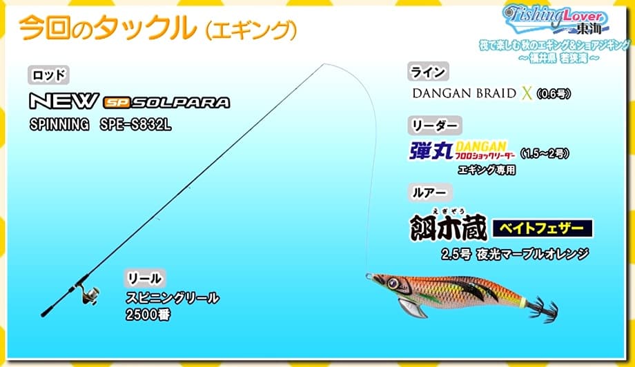 今回のタックル（エギング）