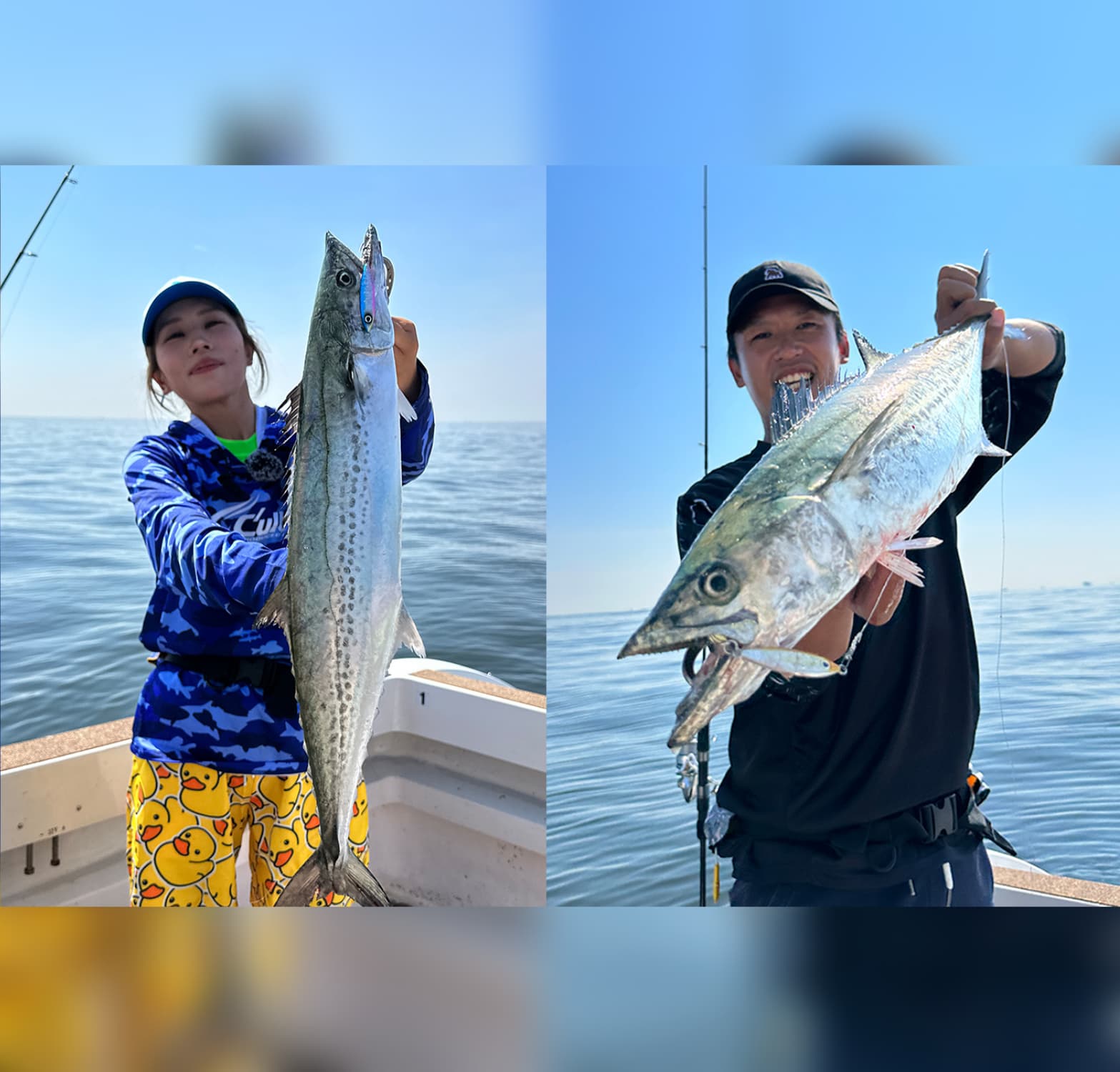 伊勢湾の湾奥でサワラを狙う