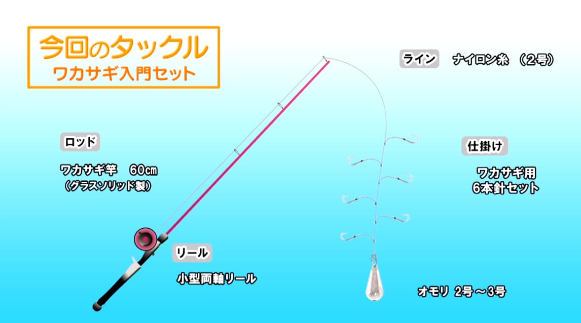 今回のタックル（ワカサギ入門セット）