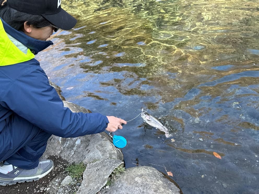 魚をゲット