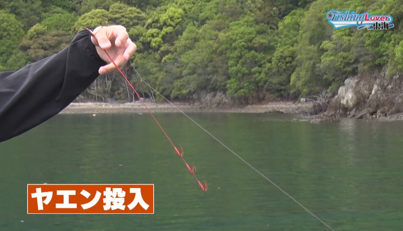 ヤエン投入