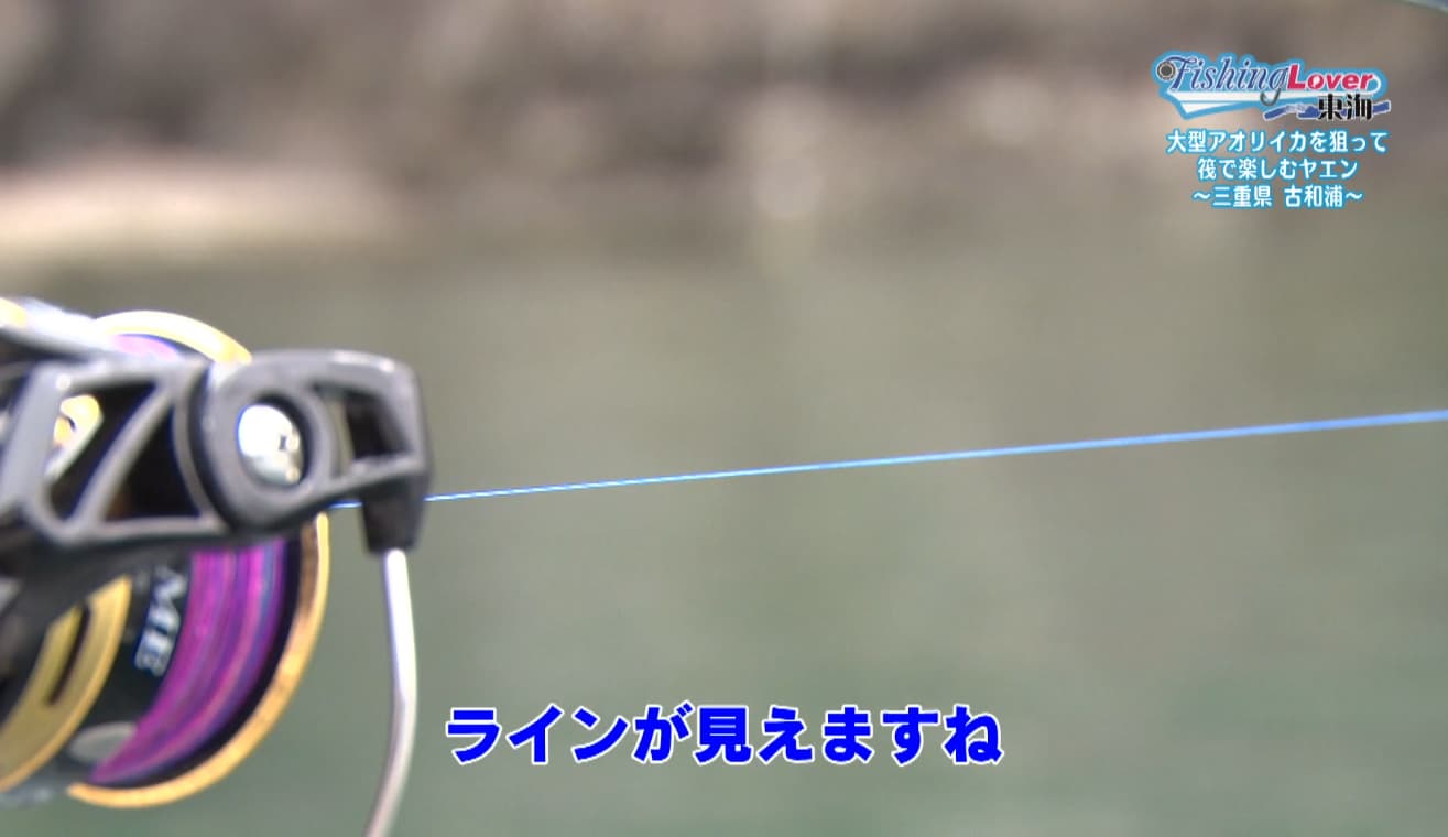 スクゥイッドヤエンVSのライン