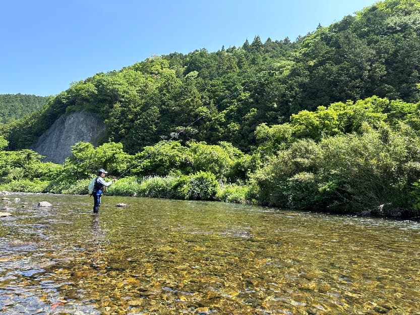 同じポイントを狙う小沢さん