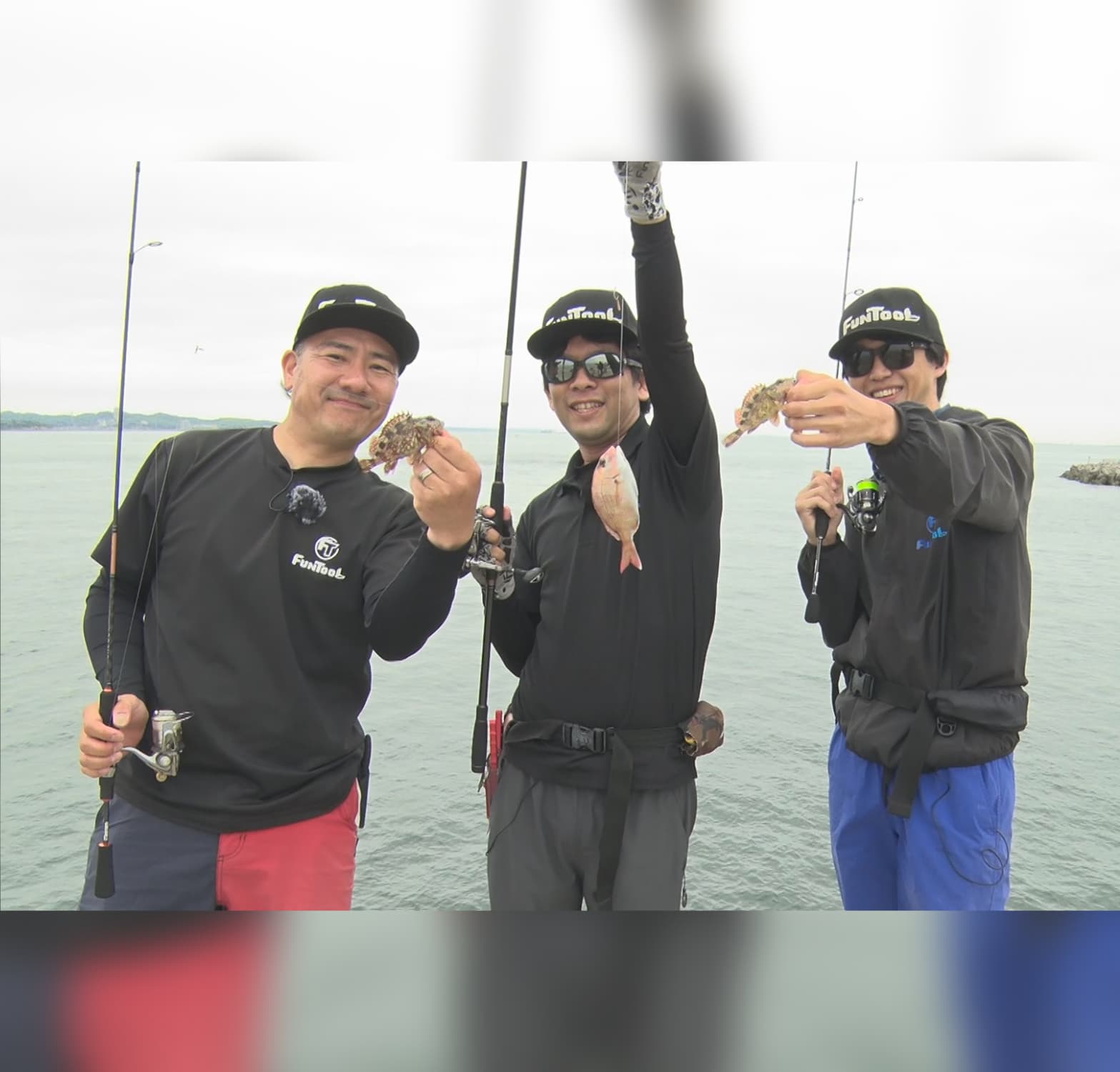 愛知県日間賀島で堤防釣り
