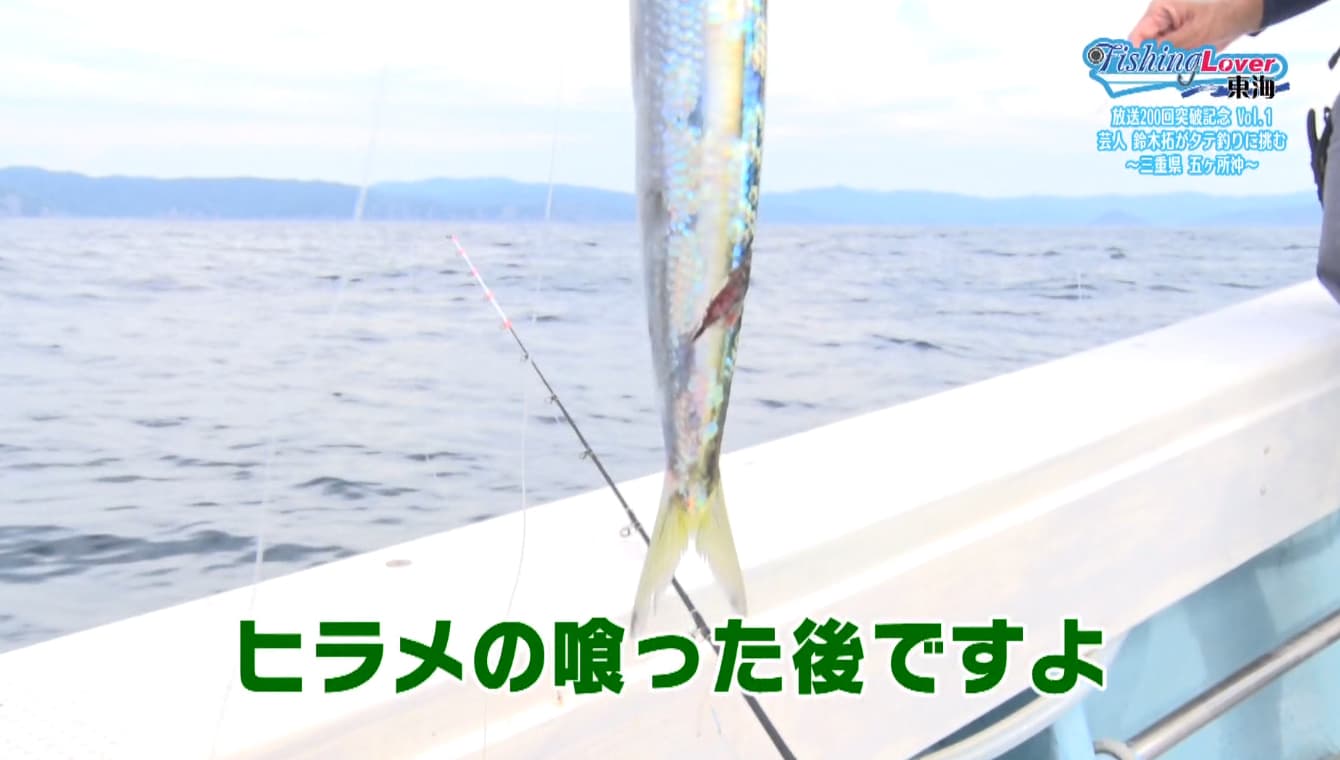 ヒラメが食いついた痕跡