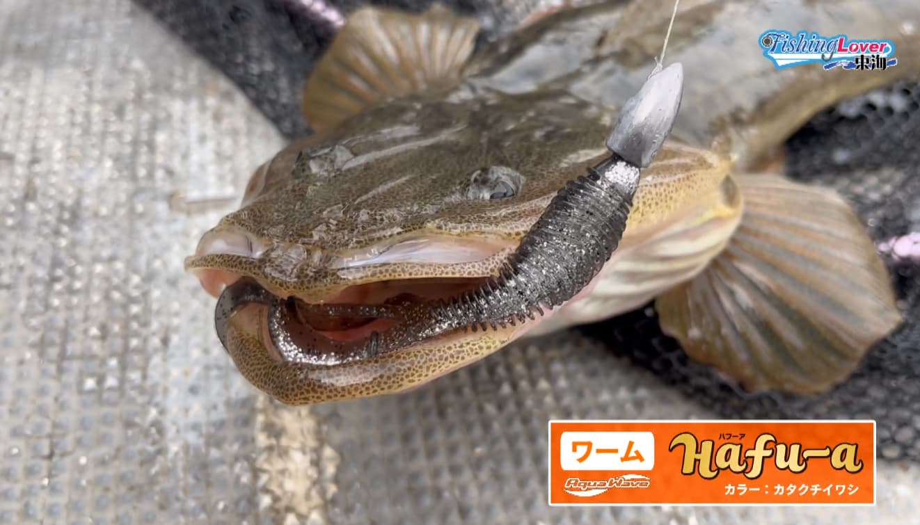 ヒットルアー：ハフーア