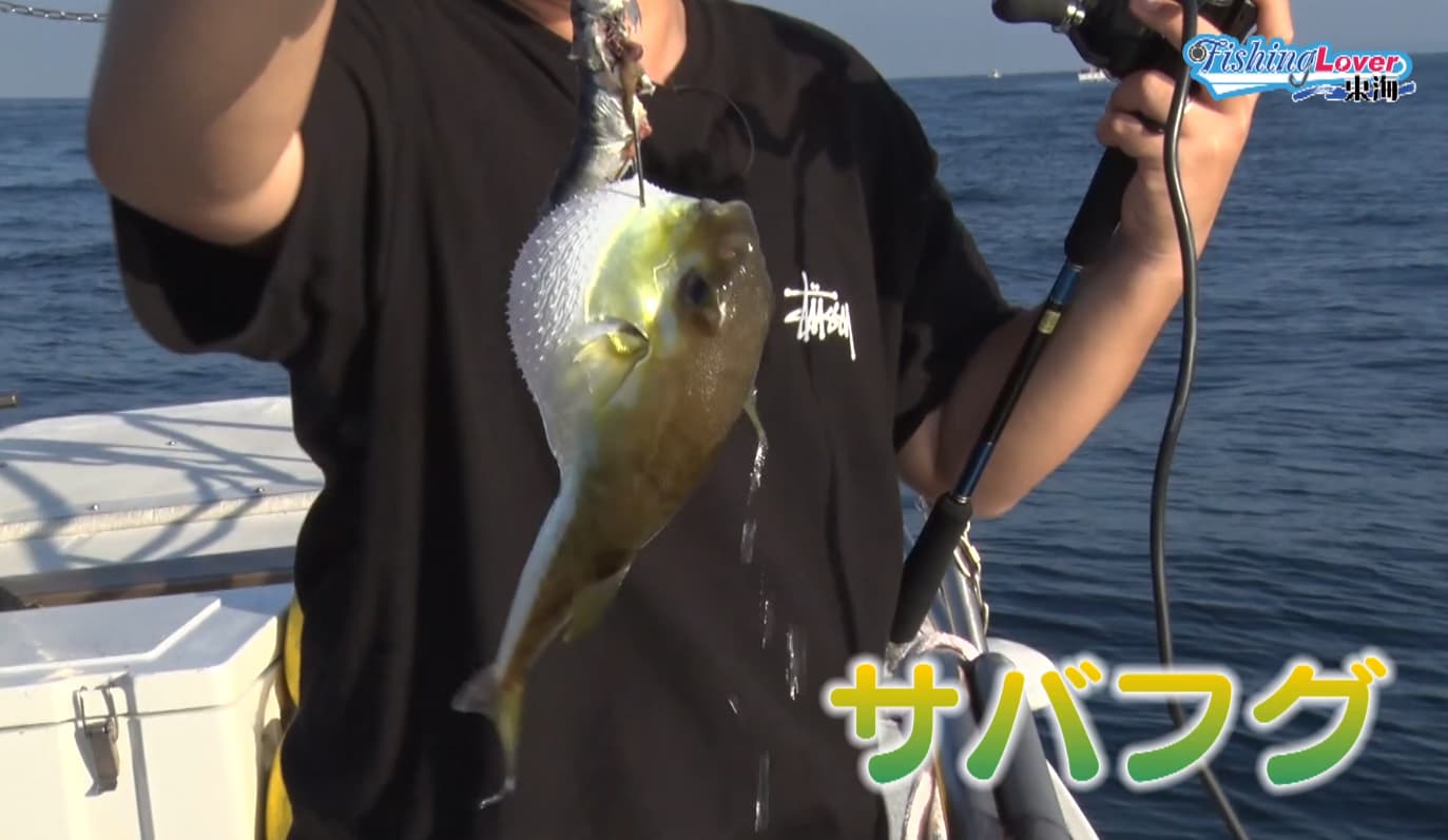 サバフグ